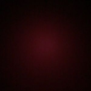 Meet your Posher, Karina